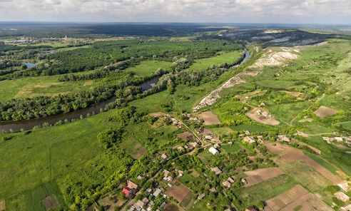 Крива Лука