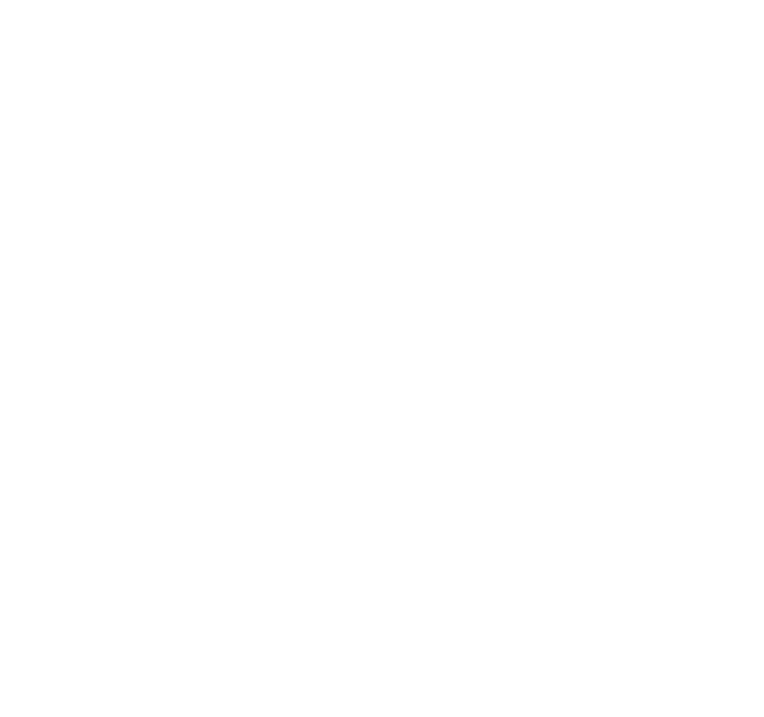 ЦПГА Крила