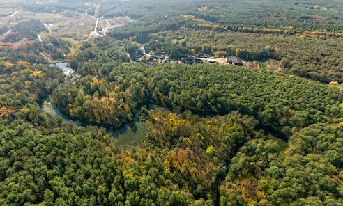 Ямпільське лісництво