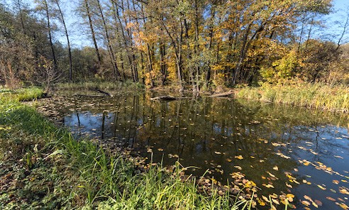 річка Жеребець