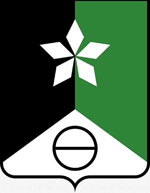 Герб Соледару